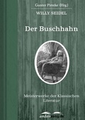 Cover: Der Buschhahn - andersseitig.de