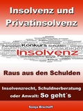 Cover: Insolvenz und Privatinsolvenz - Insolvenzrecht, Schuldnerberatung oder Anwalt: So geht&acute;s - JoelNoah S.A.