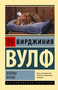 Cover: Volny. Flash - Ast