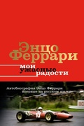 Cover: Moi uzhasnye radosti - Ast