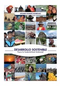 Cover: Desarrollo sostenible: Hacia la sostenibilidad ambiental - Produmedios