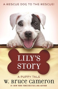 Enlarge image Cover: Lily's Story - Odd Dot