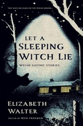 Cover: Let a Sleeping Witch Lie - Seren