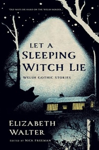 Enlarge image Cover: Let a Sleeping Witch Lie - Seren