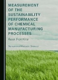 Abbildung von: Measurement of the Sustainability Performance of Chemical Manufacturing Processes - Cambridge Scholars Publishing