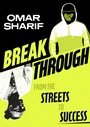 Cover: Breakthrough - Wren & Rook