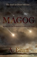 Cover: Magog - Rebel Christian Publishing