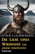 Cover: Die Liebe eines Wikingers und andere Geschichten: Fantasy - Uksak E-Books