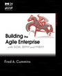 Cover: Building the Agile Enterprise - Morgan Kaufmann