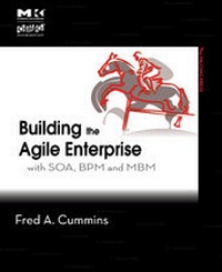 Enlarge image Cover: Building the Agile Enterprise - Morgan Kaufmann