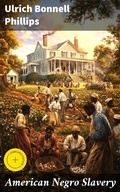 Cover: American Negro Slavery - Good Press
