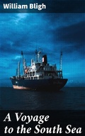 Cover: A Voyage to the South Sea - Good Press