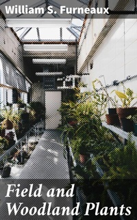 Abbildung von: Field and Woodland Plants - Good Press