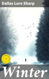 Enlarge image Cover: Winter - Good Press