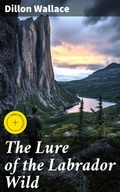 Cover: The Lure of the Labrador Wild - Good Press