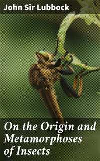 Abbildung von: On the Origin and Metamorphoses of Insects - Good Press