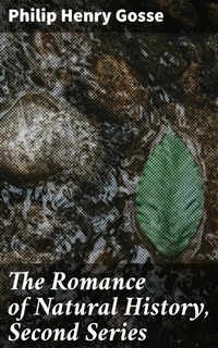 Abbildung von: The Romance of Natural History, Second Series - Good Press