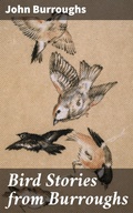 Cover: Bird Stories from Burroughs - Good Press