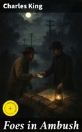Cover: Foes in Ambush - Good Press