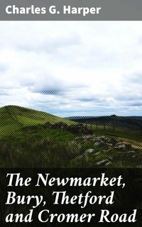 Abbildung von: The Newmarket, Bury, Thetford and Cromer Road - Good Press