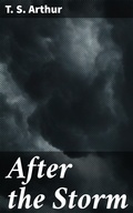Cover: After the Storm - Good Press
