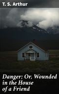Cover: Danger; Or, Wounded in the House of a Friend - Good Press
