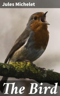 Enlarge image Cover: The Bird - Good Press