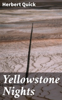 Enlarge image Cover: Yellowstone Nights - Good Press