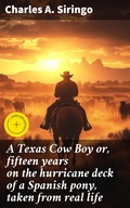 Cover: A Texas Cow Boy or, fifteen years on the hurricane deck of a Spanish pony, taken from real life - Good Press