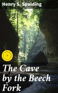 Enlarge image Cover: The Cave by the Beech Fork - Good Press