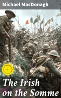 Cover: The Irish on the Somme - Good Press