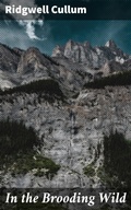 Cover: In the Brooding Wild - Good Press