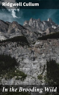 Enlarge image Cover: In the Brooding Wild - Good Press