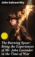 Cover: The Burning Spear: Being the Experiences of Mr. John Lavender in the Time of War - Good Press