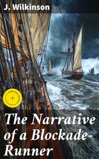 Enlarge image Cover: The Narrative of a Blockade-Runner - Good Press