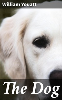 Enlarge image Cover: The Dog - Good Press