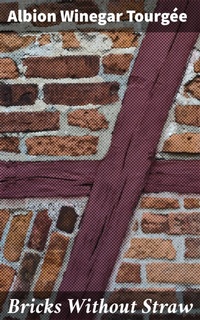 Enlarge image Cover: Bricks Without Straw - Good Press