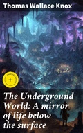 Cover: The Underground World: A mirror of life below the surface - Good Press