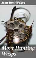 Cover: More Hunting Wasps - Good Press