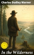 Cover: In the Wilderness - Good Press