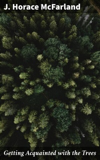 Abbildung von: Getting Acquainted with the Trees - Good Press
