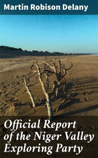 Abbildung von: Official Report of the Niger Valley Exploring Party - Good Press