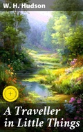 Cover: A Traveller in Little Things - Good Press