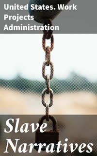 Abbildung von: Slave Narratives - Good Press