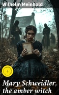 Cover: Mary Schweidler, the amber witch - Good Press