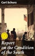Cover: Report on the Condition of the South - Good Press