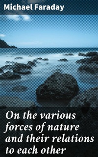 Abbildung von: On the various forces of nature and their relations to each other - Good Press