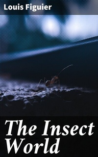 Abbildung von: The Insect World - Good Press