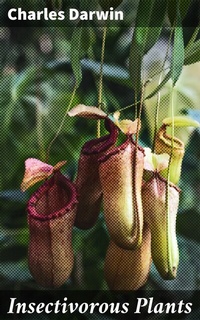 Abbildung von: Insectivorous Plants - Good Press