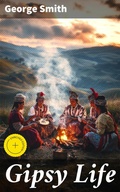 Cover: Gipsy Life - Good Press